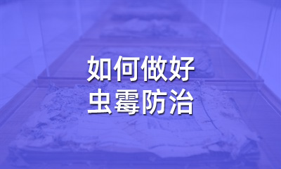 檔案修復(fù)后，如何做好蟲霉防治