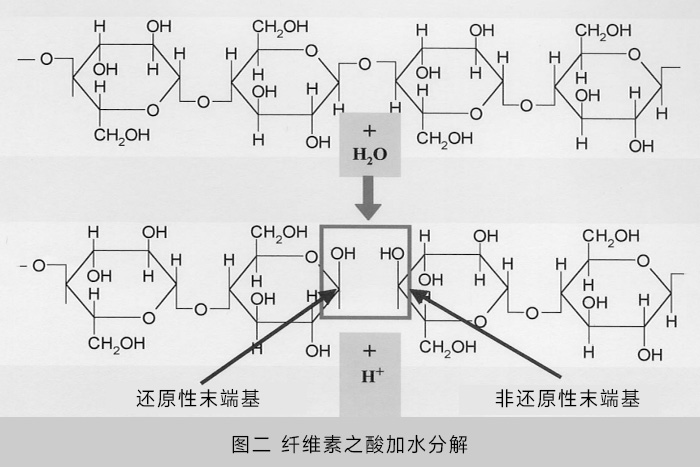 圖二 纖維素之酸加水分解